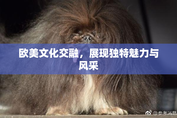 欧美文化交融，展现独特魅力与风采