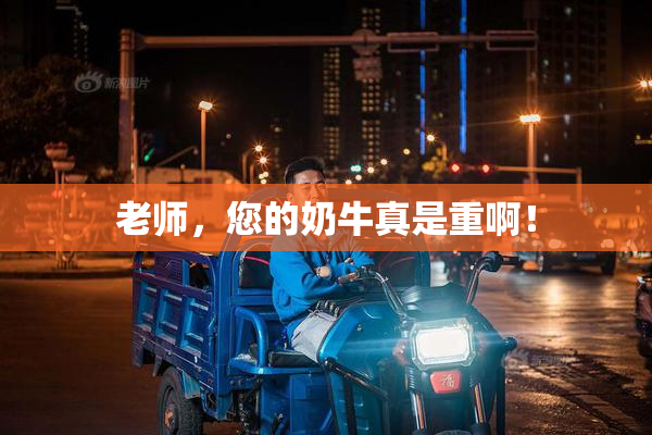 老师，您的奶牛真是重啊！