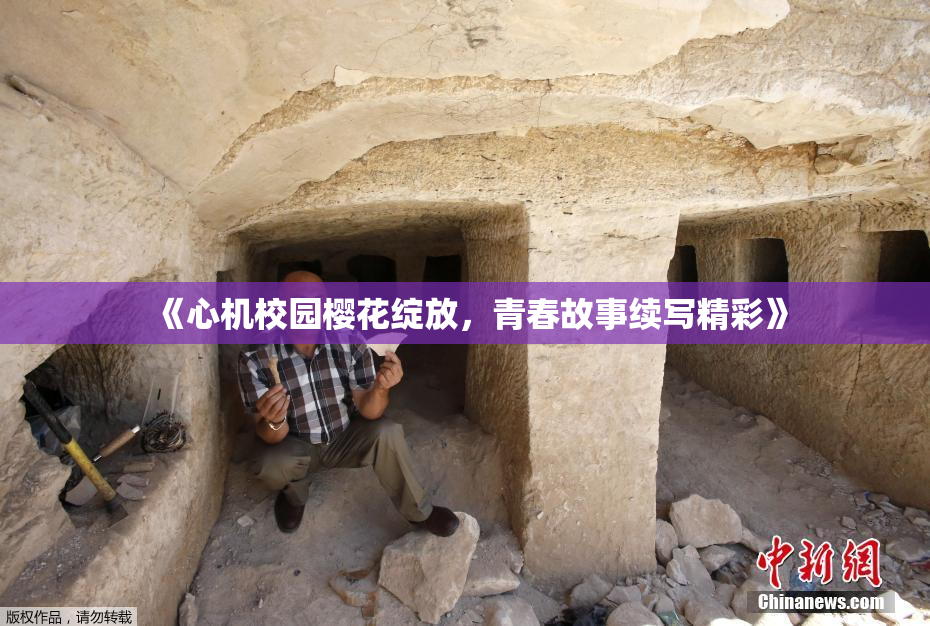 《心机校园樱花绽放，青春故事续写精彩》
