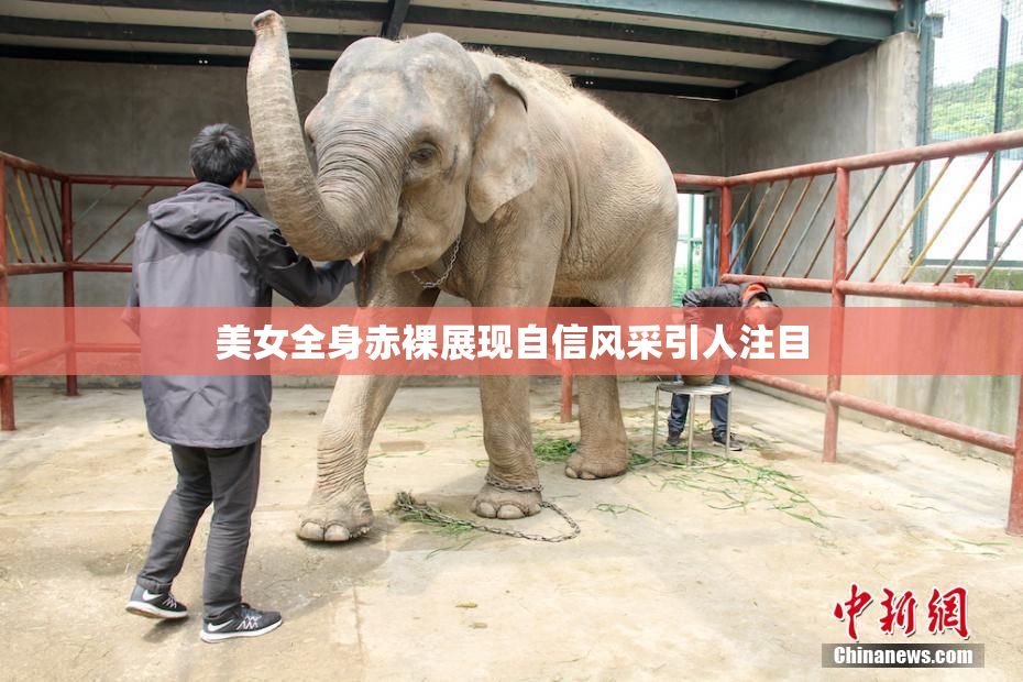 美女全身赤裸展现自信风采引人注目