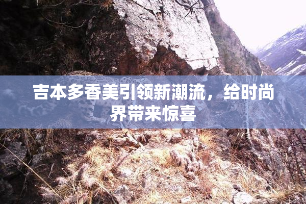吉本多香美引领新潮流，给时尚界带来惊喜