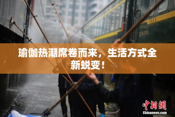 瑜伽热潮席卷而来，生活方式全新蜕变！