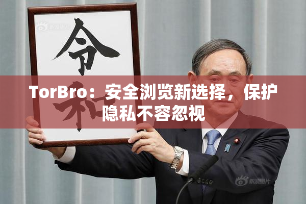 TorBro：安全浏览新选择，保护隐私不容忽视