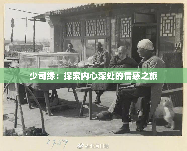 少司缘：探索内心深处的情感之旅