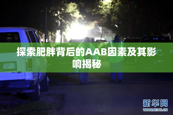 探索肥胖背后的AAB因素及其影响揭秘