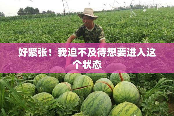 好紧张！我迫不及待想要进入这个状态