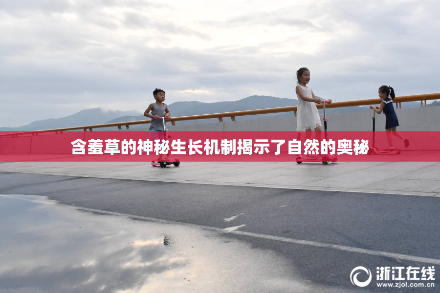 含羞草的神秘生长机制揭示了自然的奥秘