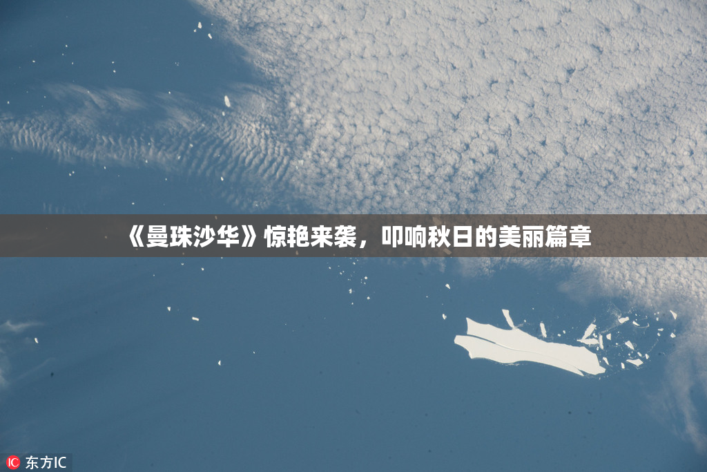 《曼珠沙华》惊艳来袭，叩响秋日的美丽篇章