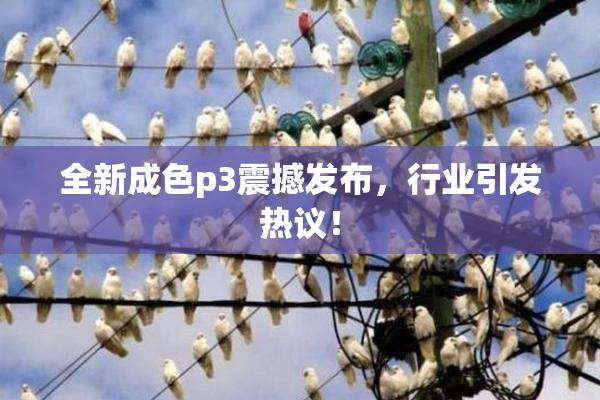 全新成色p3震撼发布，行业引发热议！