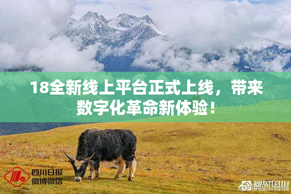 18全新线上平台正式上线，带来数字化革命新体验！