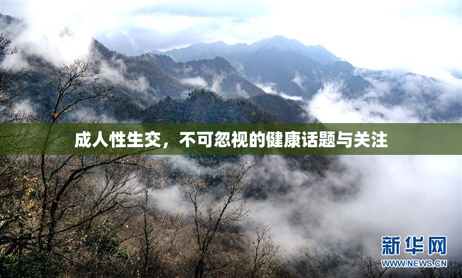 成人性生交，不可忽视的健康话题与关注