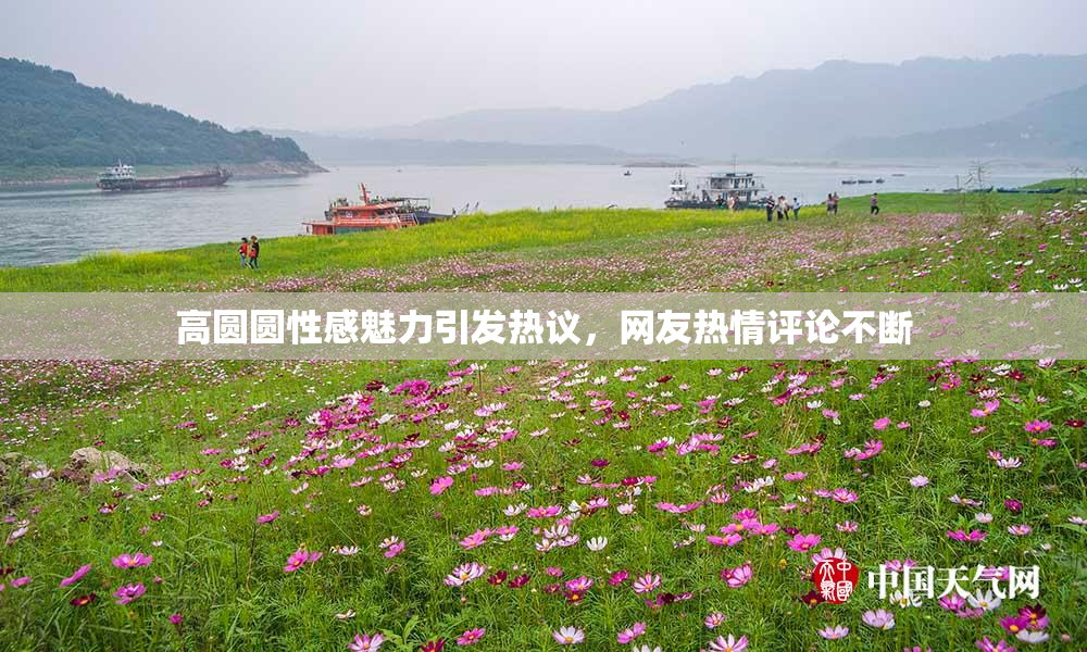 高圆圆性感魅力引发热议，网友热情评论不断