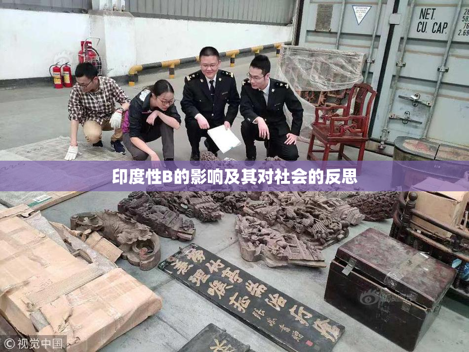 印度性B的影响及其对社会的反思