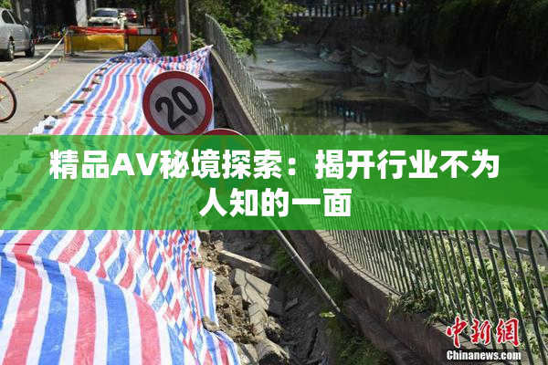 精品AV秘境探索：揭开行业不为人知的一面