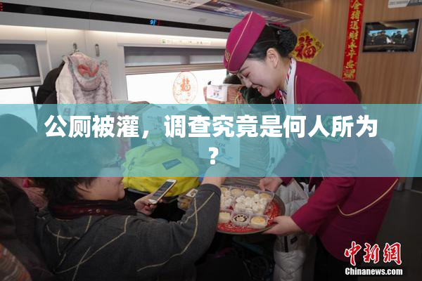 公厕被灌，调查究竟是何人所为？