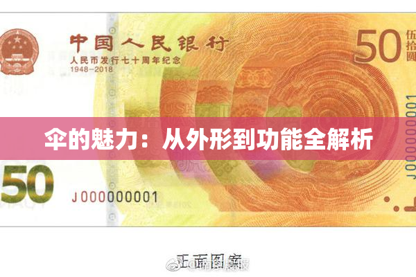 伞的魅力：从外形到功能全解析