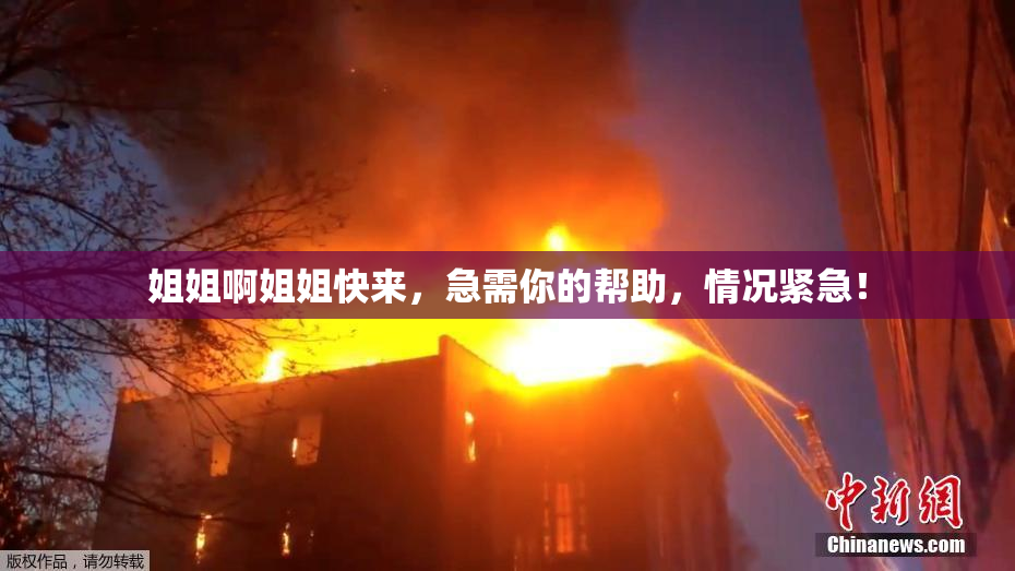 姐姐啊姐姐快来，急需你的帮助，情况紧急！