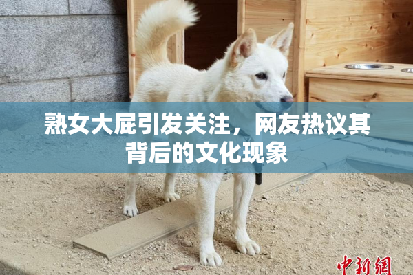 熟女大屁引发关注，网友热议其背后的文化现象