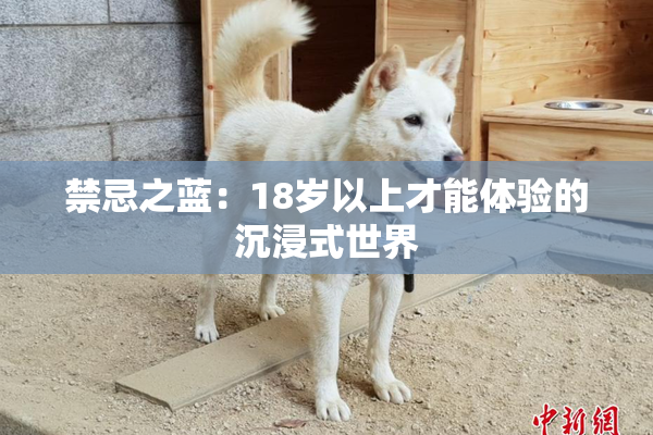 禁忌之蓝：18岁以上才能体验的沉浸式世界