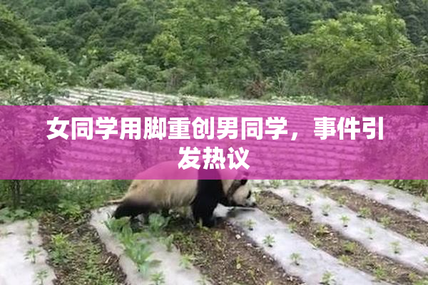 女同学用脚重创男同学，事件引发热议