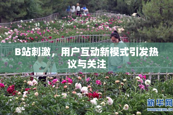 B站刺激，用户互动新模式引发热议与关注