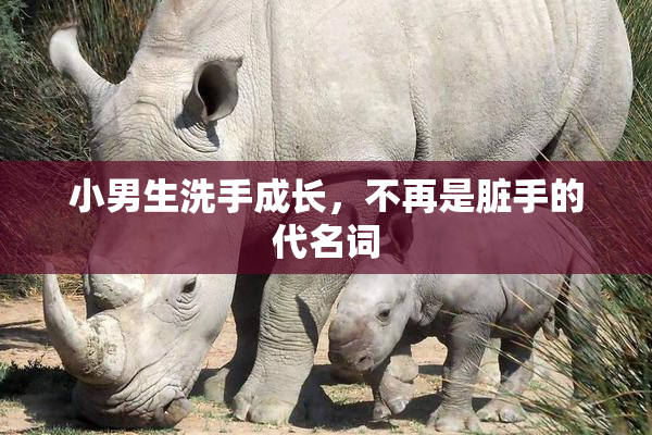 小男生洗手成长，不再是脏手的代名词