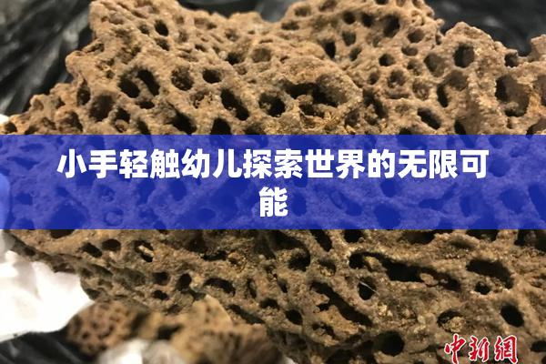 小手轻触幼儿探索世界的无限可能