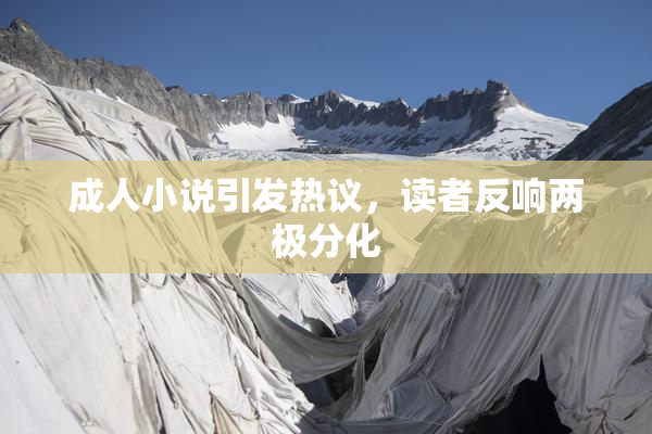 成人小说引发热议，读者反响两极分化