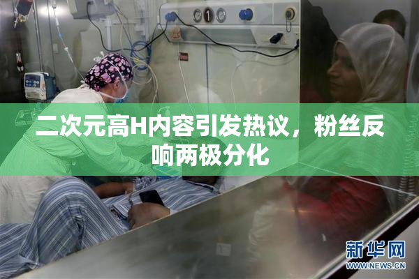 二次元高H内容引发热议，粉丝反响两极分化