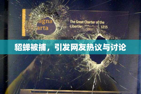 貂蝉被捕，引发网友热议与讨论