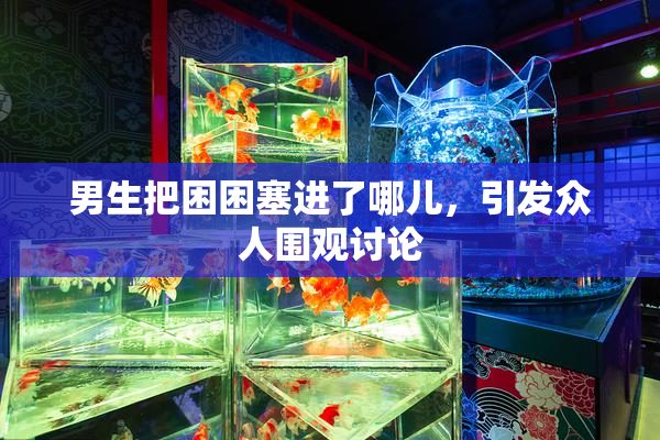 男生把困困塞进了哪儿，引发众人围观讨论