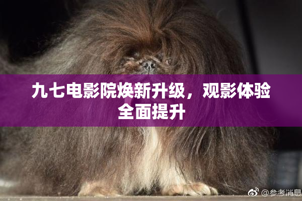 九七电影院焕新升级，观影体验全面提升
