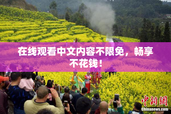 在线观看中文内容不限免，畅享不花钱！
