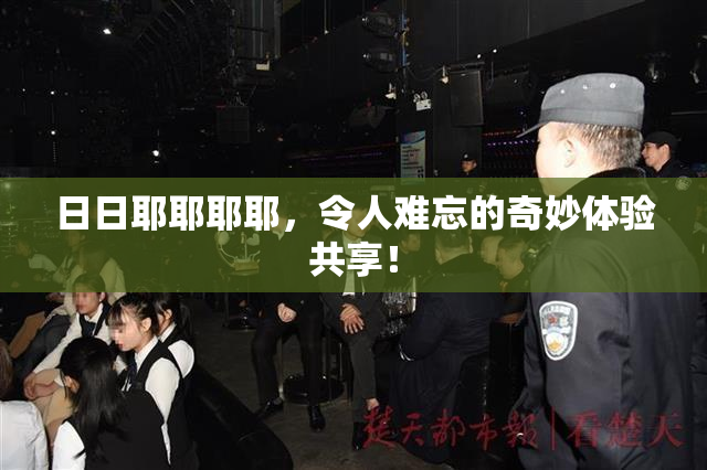 日日耶耶耶耶，令人难忘的奇妙体验共享！