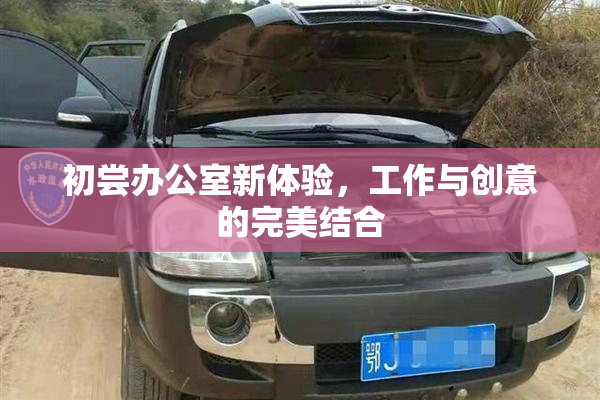 初尝办公室新体验，工作与创意的完美结合