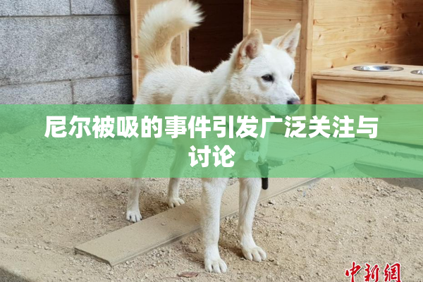 尼尔被吸的事件引发广泛关注与讨论