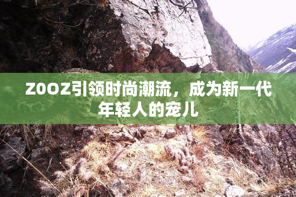 Z0OZ引领时尚潮流，成为新一代年轻人的宠儿