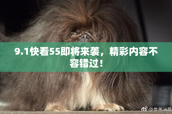 9.1快看55即将来袭，精彩内容不容错过！