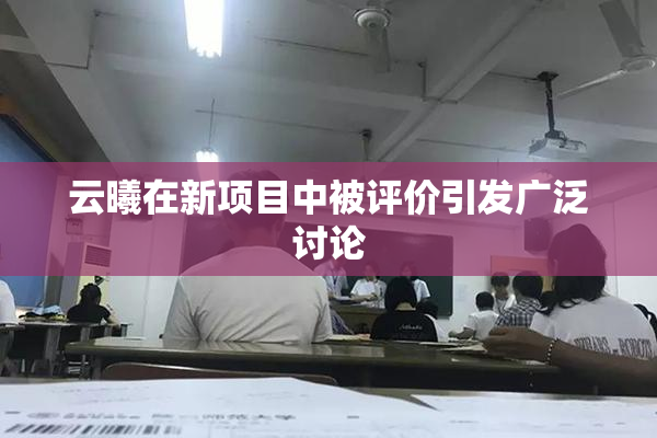 云曦在新项目中被评价引发广泛讨论