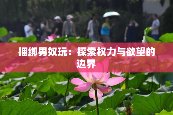捆绑男奴玩：探索权力与欲望的边界