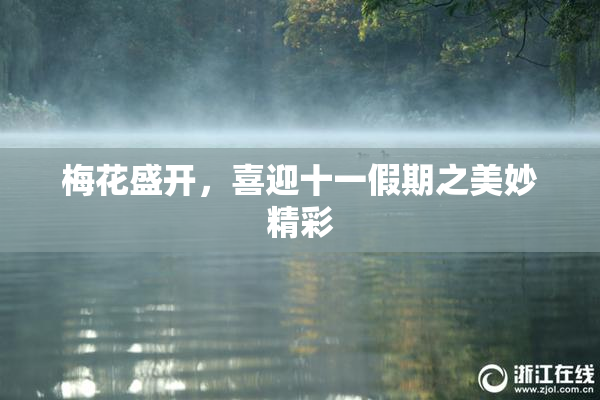 梅花盛开，喜迎十一假期之美妙精彩