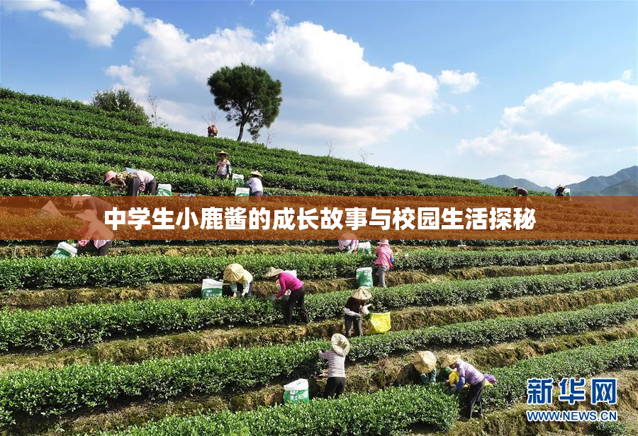 中学生小鹿酱的成长故事与校园生活探秘