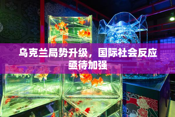 乌克兰局势升级，国际社会反应亟待加强