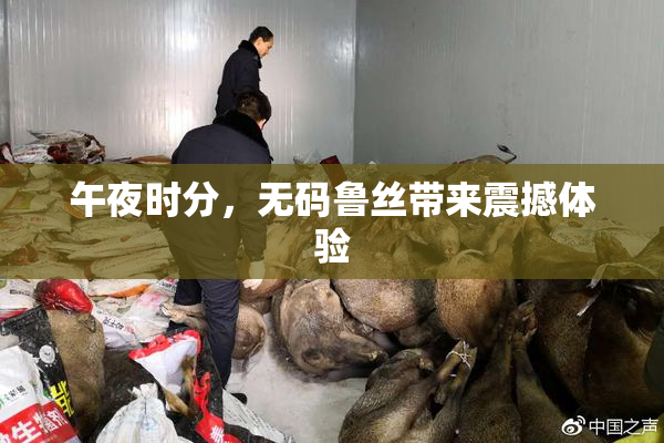 午夜时分，无码鲁丝带来震撼体验