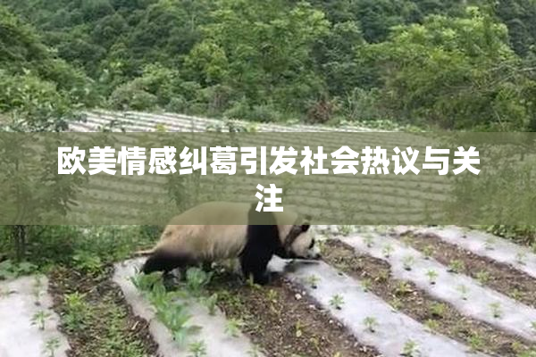 欧美情感纠葛引发社会热议与关注