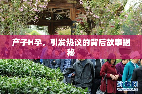 产子H孕，引发热议的背后故事揭秘