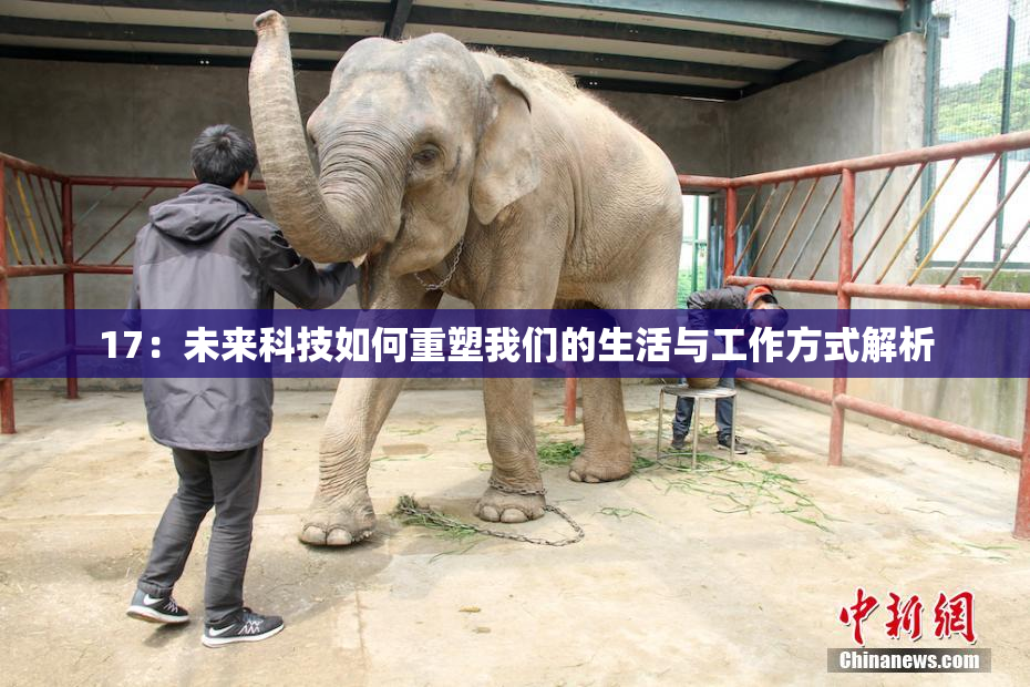 17：未来科技如何重塑我们的生活与工作方式解析
