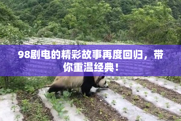 98剧电的精彩故事再度回归，带你重温经典！