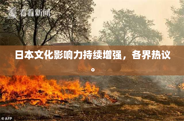 日本文化影响力持续增强，各界热议。