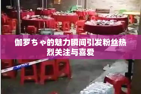 伽罗ちゃ的魅力瞬间引发粉丝热烈关注与喜爱